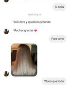 Silky Hair Ketarina Brasileña