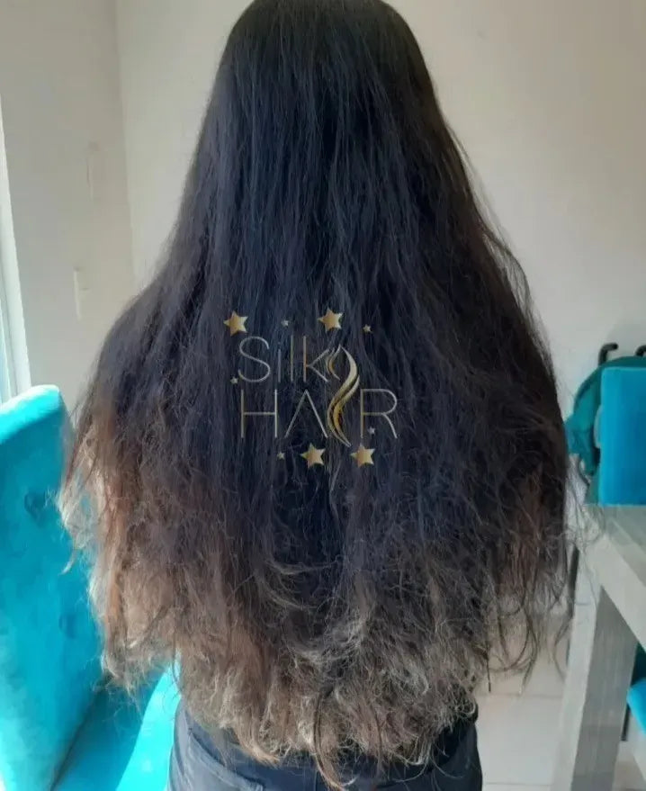 Silky Hair Ketarina Brasileña
